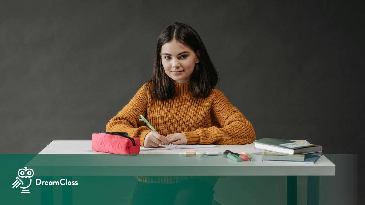 Navigating Privatization in Schools with Smarter School Management